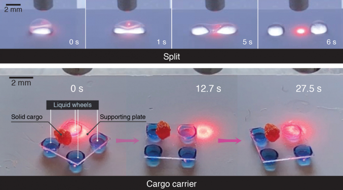  (upper photos) showing the split of an ethanol droplet by a beam of light on the photopyroelectric microfluidic platform.
(below) showing a light-controlled cargo carrier with droplet wheels transporting a solid cargo.
 